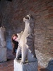 One of the many Gargoyles in the Musée