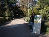 Public Park at Arles Van Gogh scene