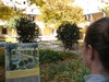 Courtyard of the hospital at Arles scene