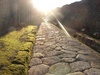 Mossy path