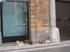 The gang - with one on watch duty
