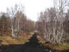 The path to wherre?