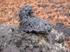 Tom found a rock!