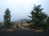 It takes many years before vegetation can grow again