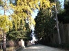 Amazing Autumn colours