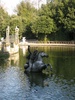 Water features