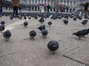 They are coming for us!