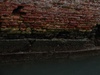 The amazing colours, brick and seawater