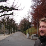 Bern: Dead tree lane.