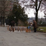 Bern: Locals playing outdoor chess.