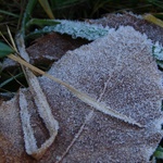 Lucerne: The temperature was dropping!