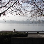 Zurich: Peacful lakeside