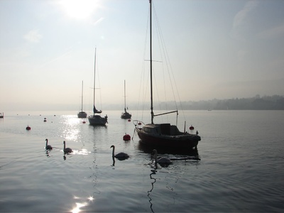 Zurich: Swans and boats!