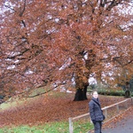 Bern: The colours of Autumn