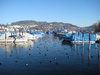 Lucerne: No their not buoys, their sleeping duckies!