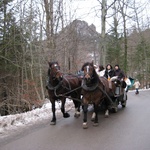 Horse and cart for the Tourist - poor things!