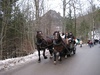 Horse and cart for the Tourist - poor things!
