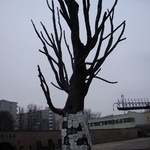 Warsaw: Dead tree turned into a sculptural monument 