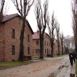 Auschwitz I Museum section