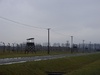 Auschwitz II Birkenau: Watch towers 