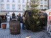 Krakow: The local wine barrel - line up!