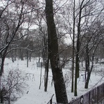 Krakow: Snow! in the backyard of the hostel!