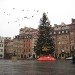 Warsaw: My what a BIG Christmas tree!