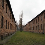 Auschwitz: