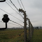 Auschwitz: Original fencing still stands