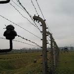 Auschwitz: Original fencing still stands