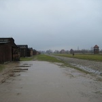 Auschwitz II Birkenau: Wooden barracks which were freezing