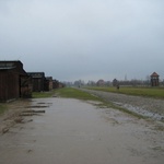 Auschwitz II Birkenau: Wooden barracks which were freezing