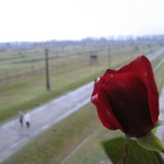 Auschwitz II Birkenau: View from the main building