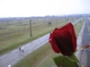 Auschwitz II Birkenau: View from the main building