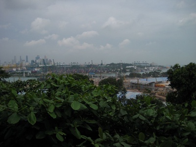 The city of cranes 