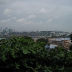 The city of cranes 