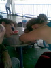 Just pulling into Ko Samui on the ferry after 10 hours of bus, waiting and ferry. Exhausting, but after a 45 min taxi ride we should be in paradise. And eating. So hungry!