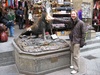 Nice good luck piggy in Florence. Feed him a coin and he gives you good luck. While dribbling on your hand.