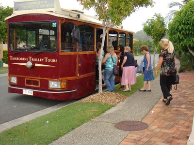 Loading up the hens for Wine trip!