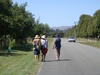 More wine walking