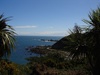 Can't beat Wellington on a good day