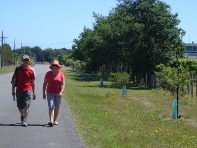 A stroll on the road?