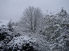 Our view from our bedroom window - just awesome!