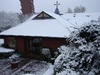 Our neighbours in the morning