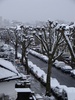 Our street from the lounge window