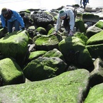 And mossy rock climbing