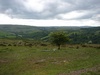 Rolling hills as far as they eyes could see