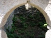 An opening into the ruin shows off the new inhabitants