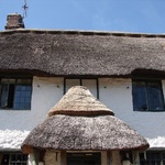 Cottie - the mono-browed, mustache fronted cottage