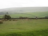 Mary Poppins in the distance - braving the rain to put her camera skills to the test ....